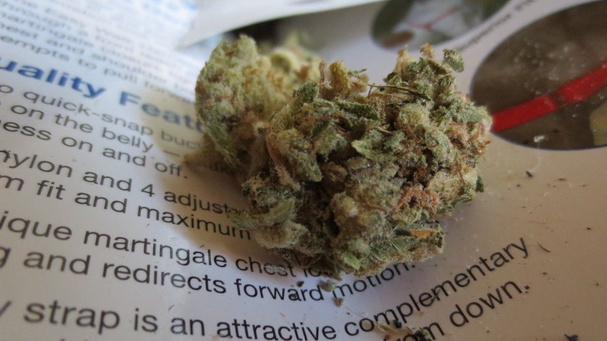 Vt nugzz 001