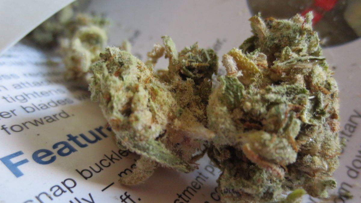 Vt nugzz 002