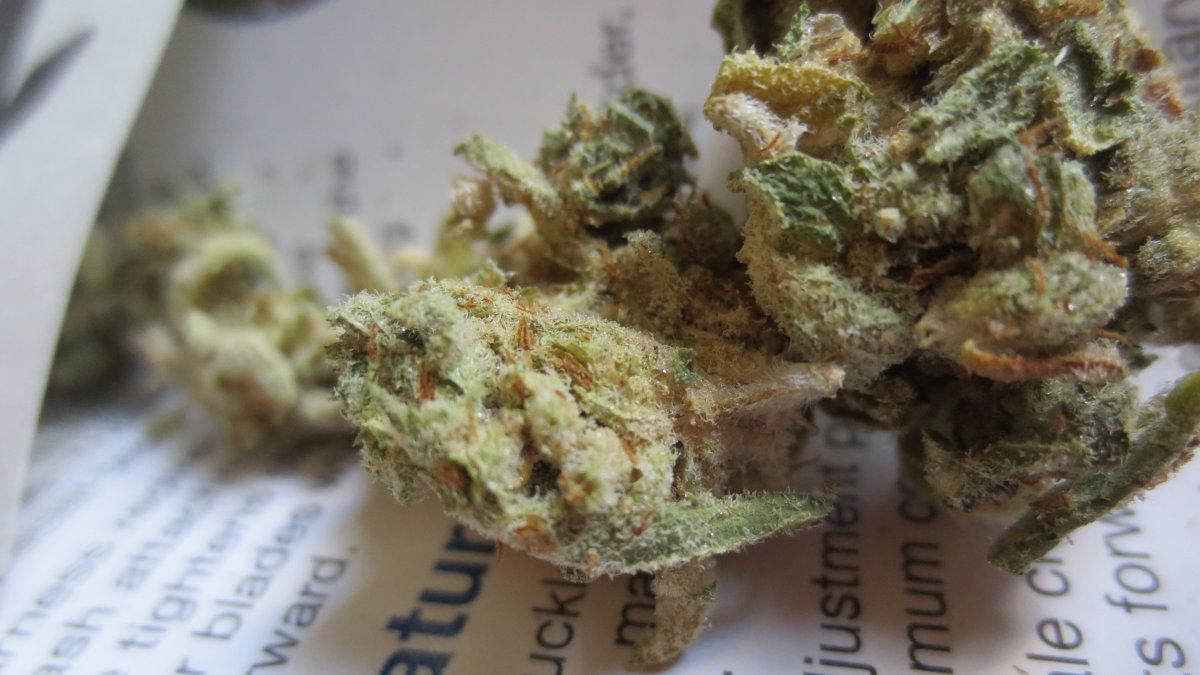 Vt nugzz 003