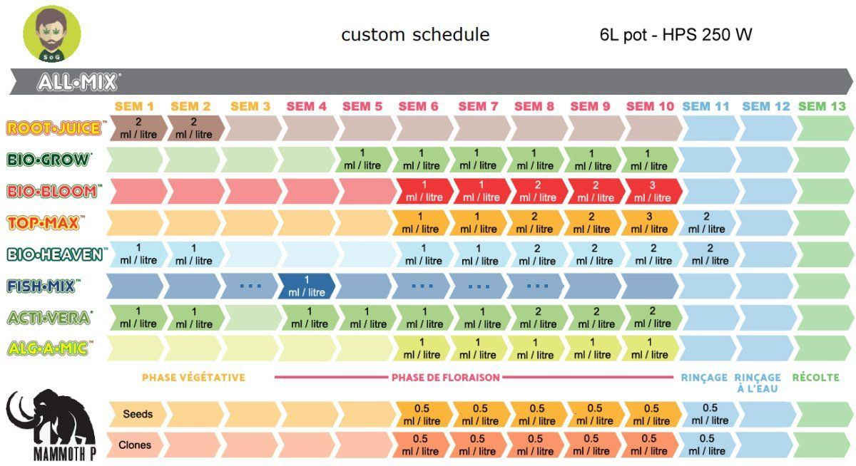 W schedule 6l