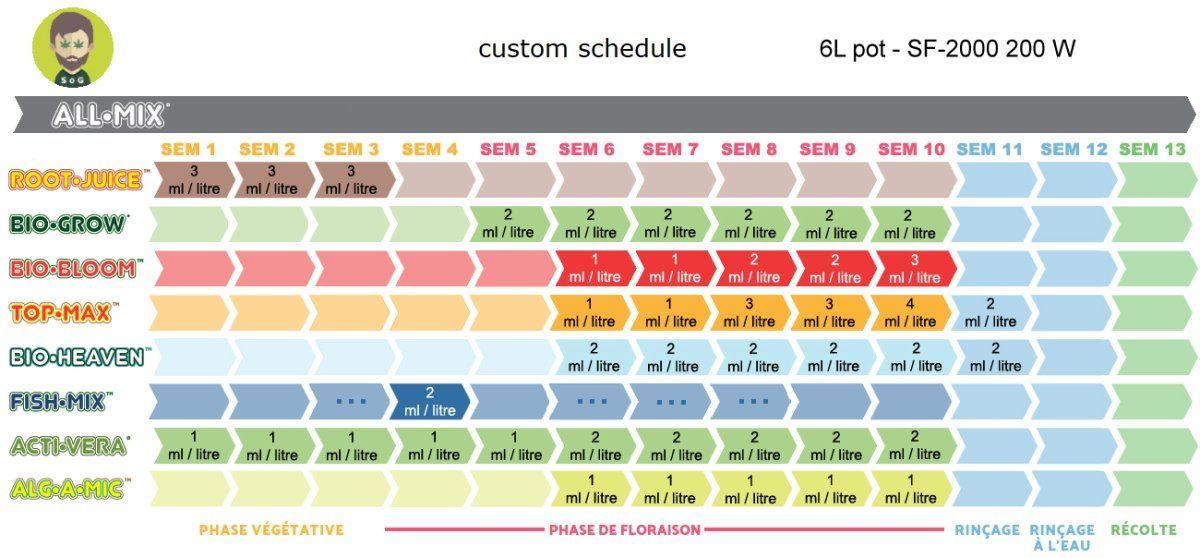 W schedule 6l