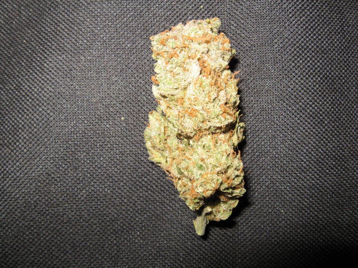 Waaynes organic alien genetics 5