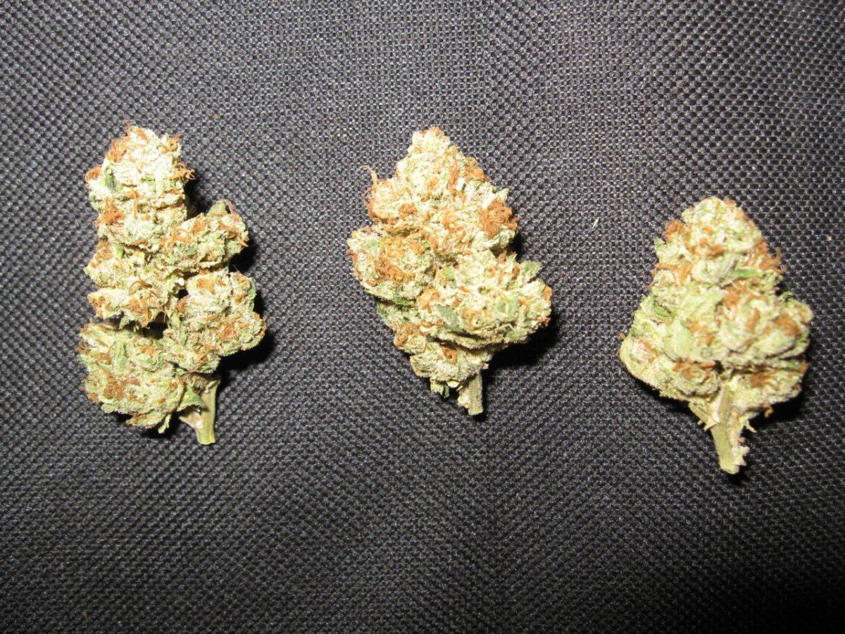 Waaynes organic alien genetics 6