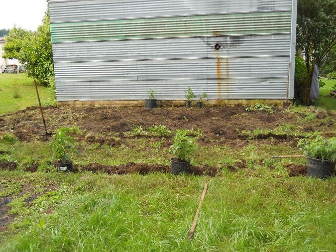 Waiting to be tilled 