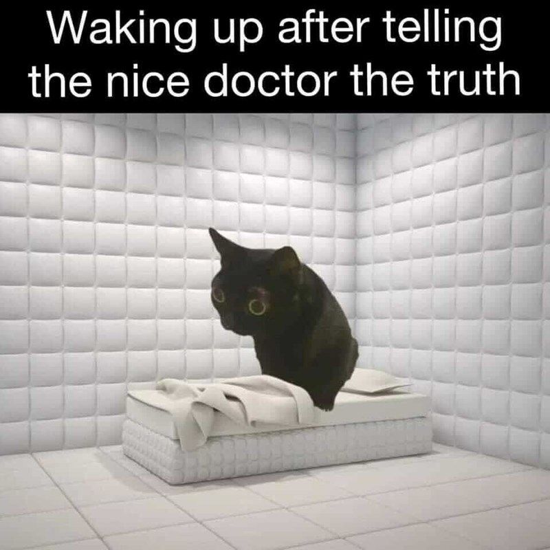 Waking up after telling nice doctor truth