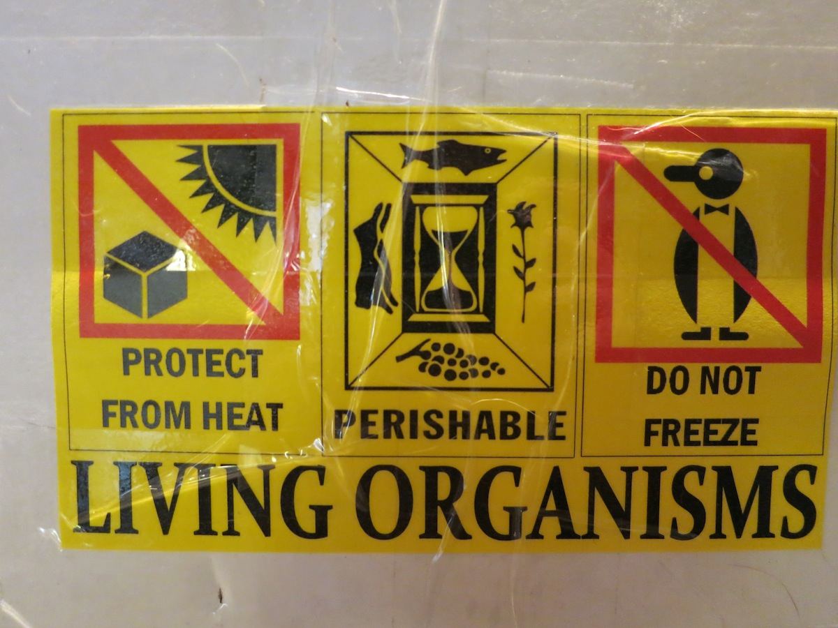 WARNING sf
