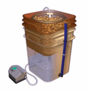 Waterfarm