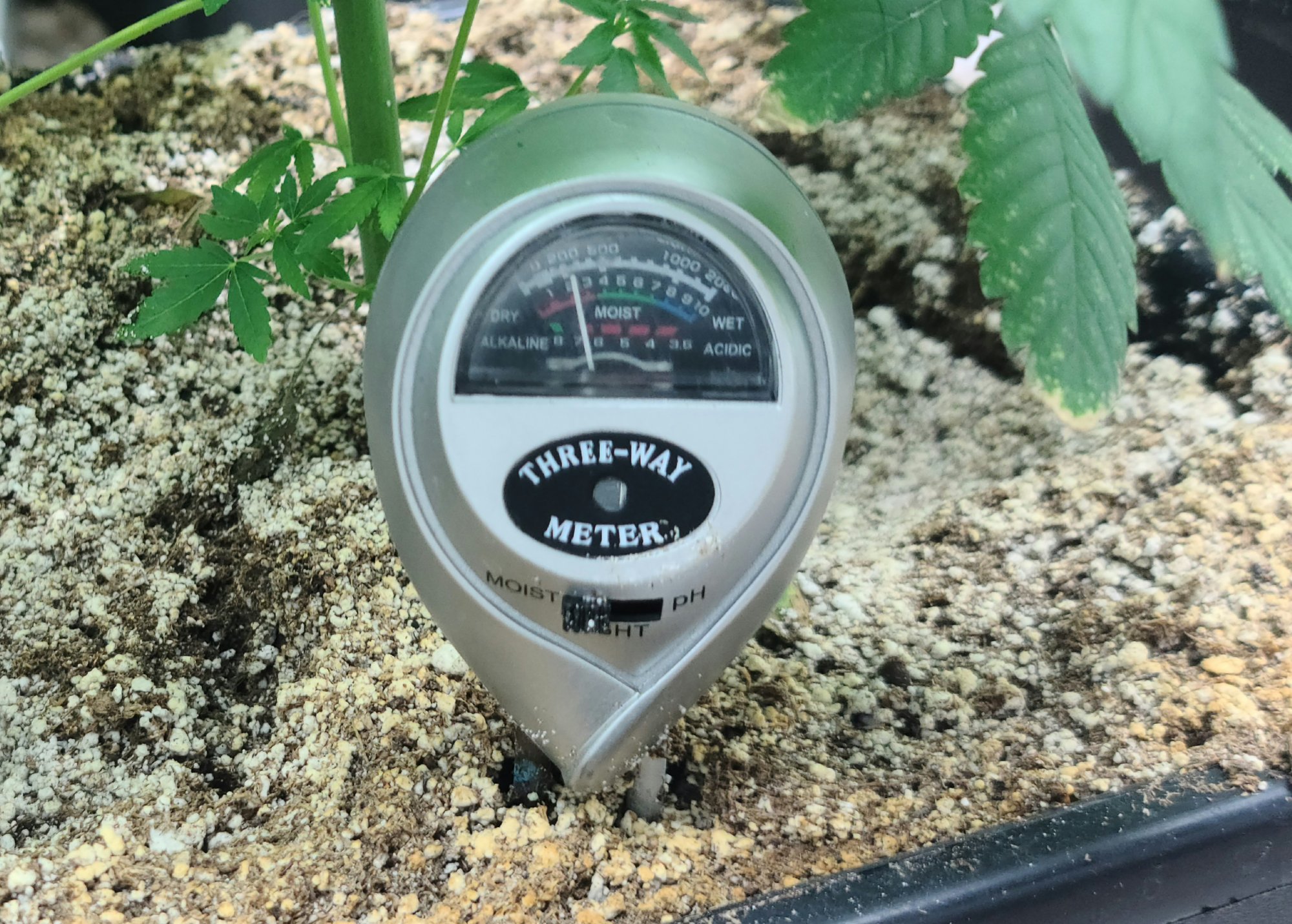 Watering when bone dry with a gauge 2