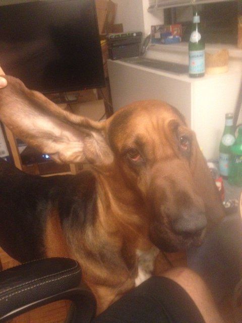 Watson ears