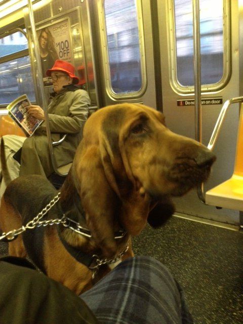 Watson subway