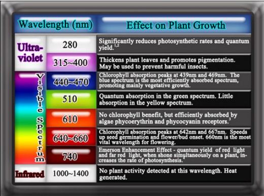 Wavelength efects on plants grow