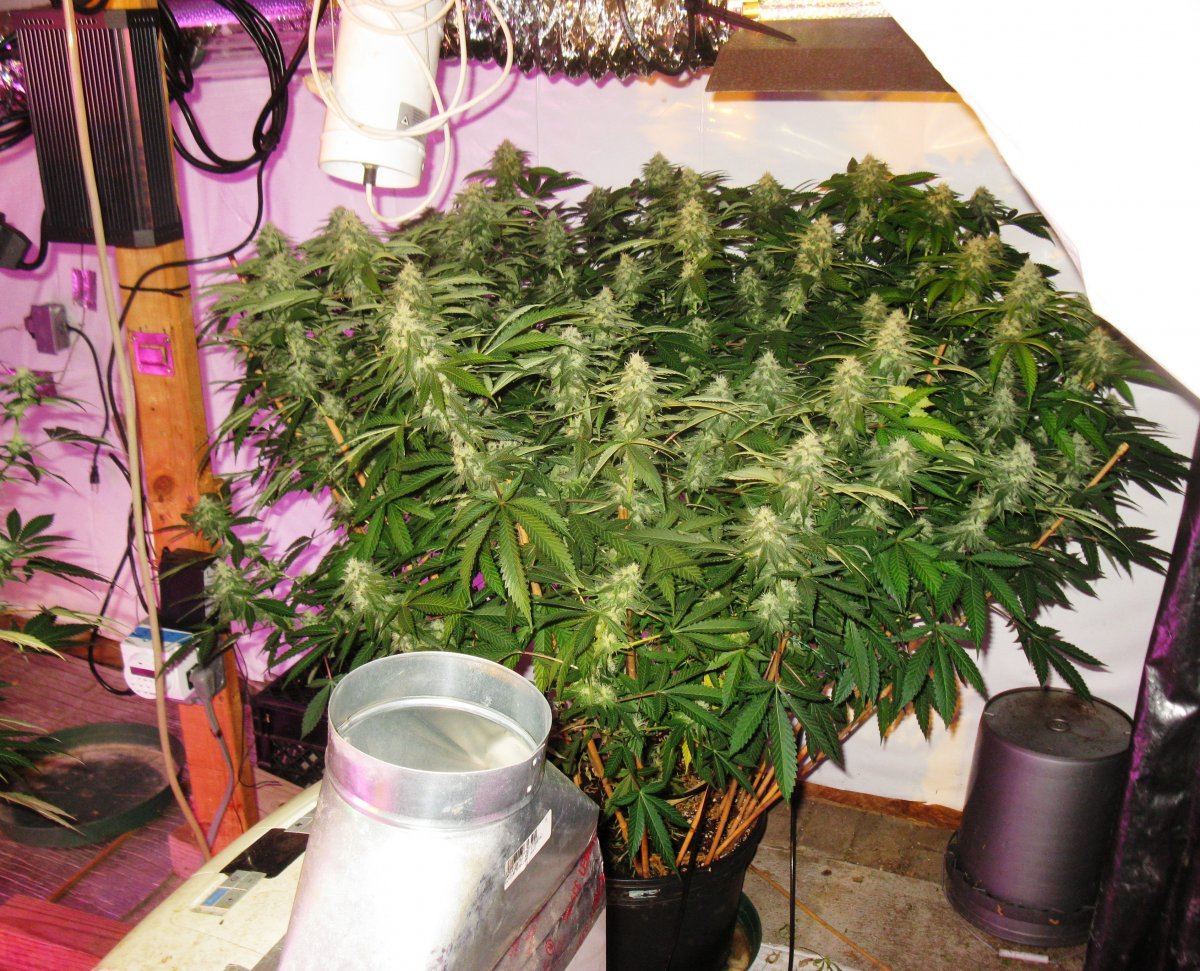 Wc bubba 004