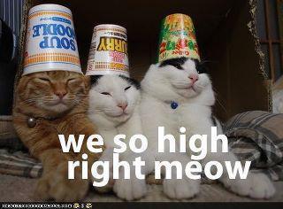 We so high