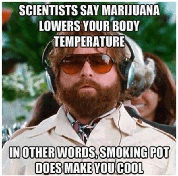 Weed 13 1