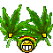 Weed