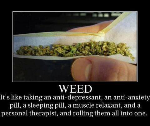 Weed