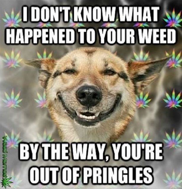 Weed memes 56cc88b93df78cfb37a05cfb