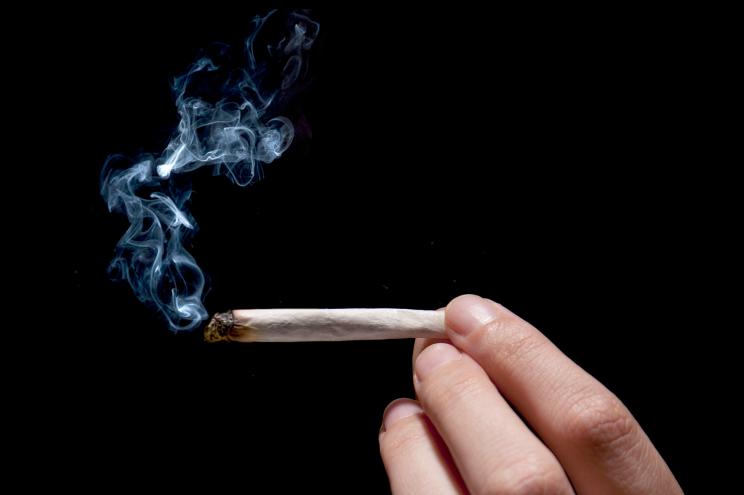 Weed main1a