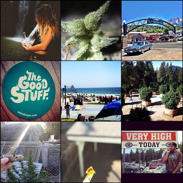 Weedmaps