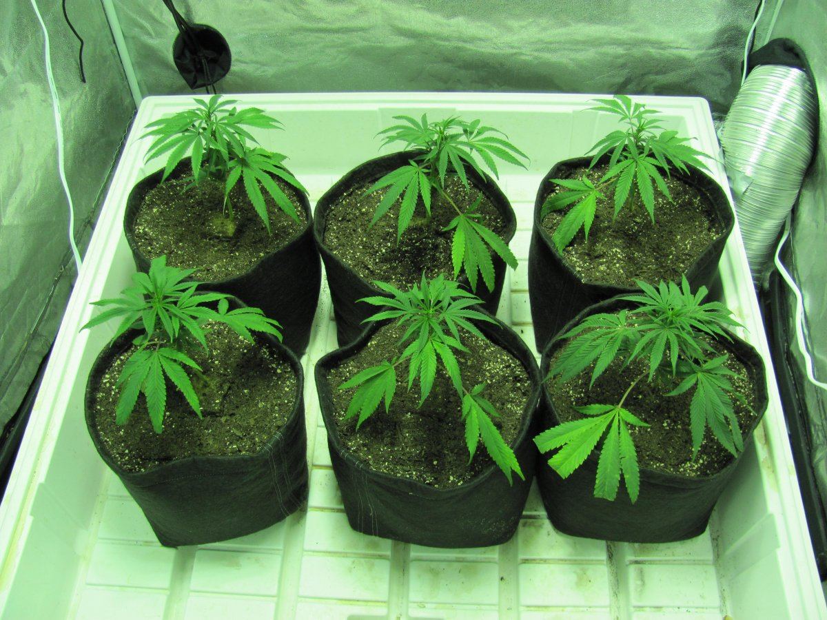Week 1