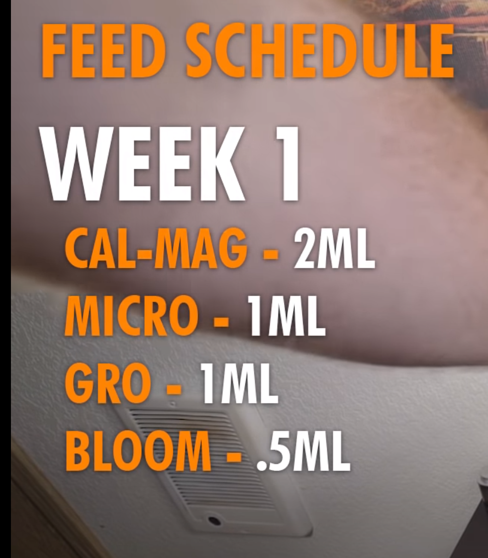 Week 1