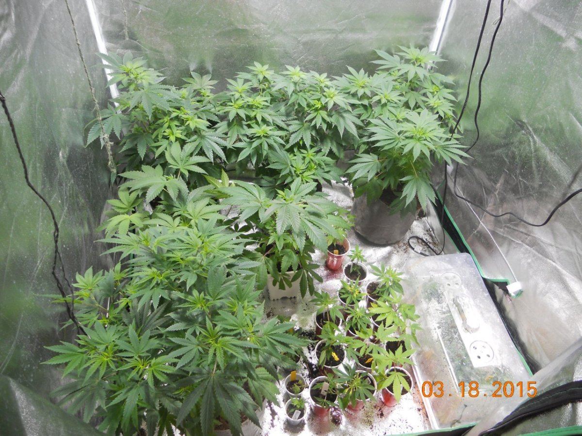 Week 2 006