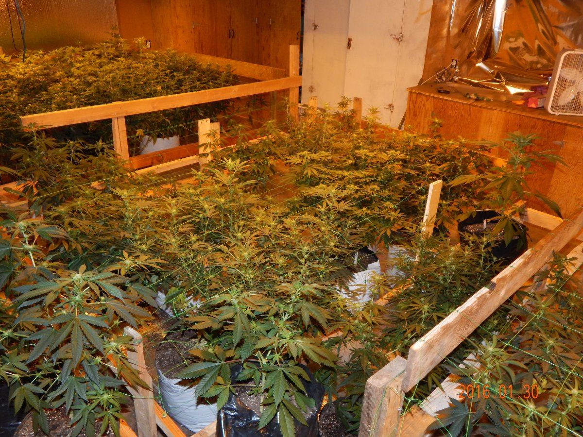 Week 2 020