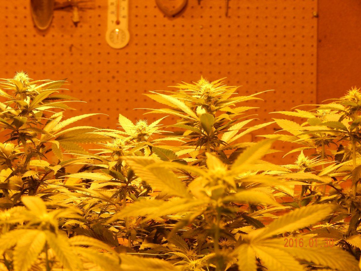 Week 2 023