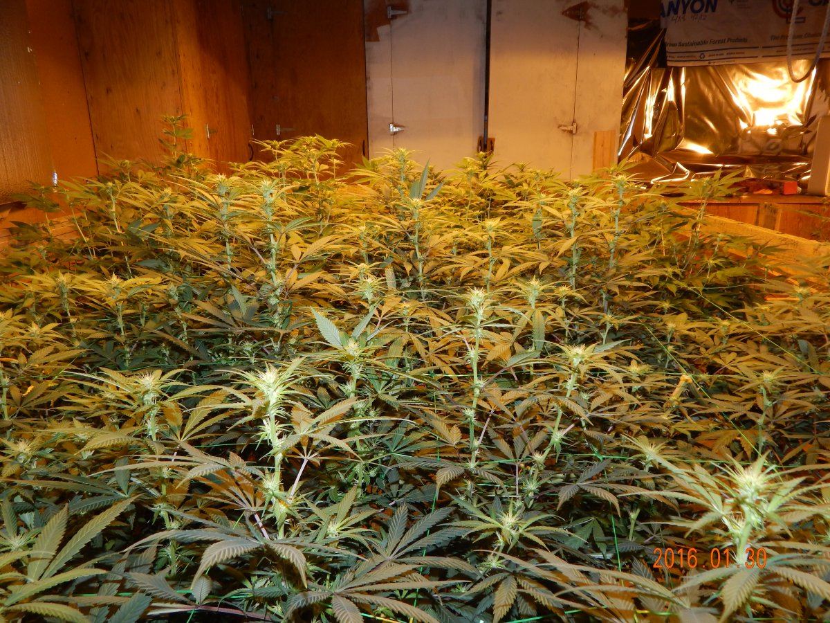 Week 2 025