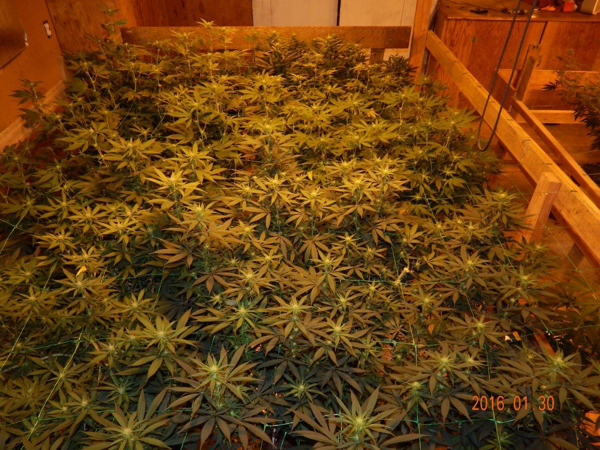 Week 2 028