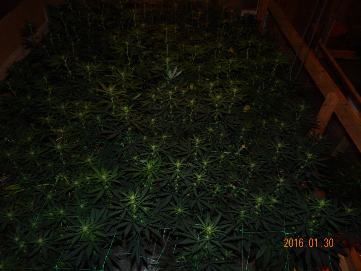 Week 2 031