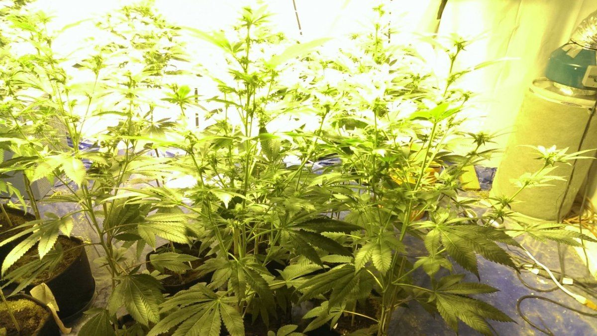 Week 2