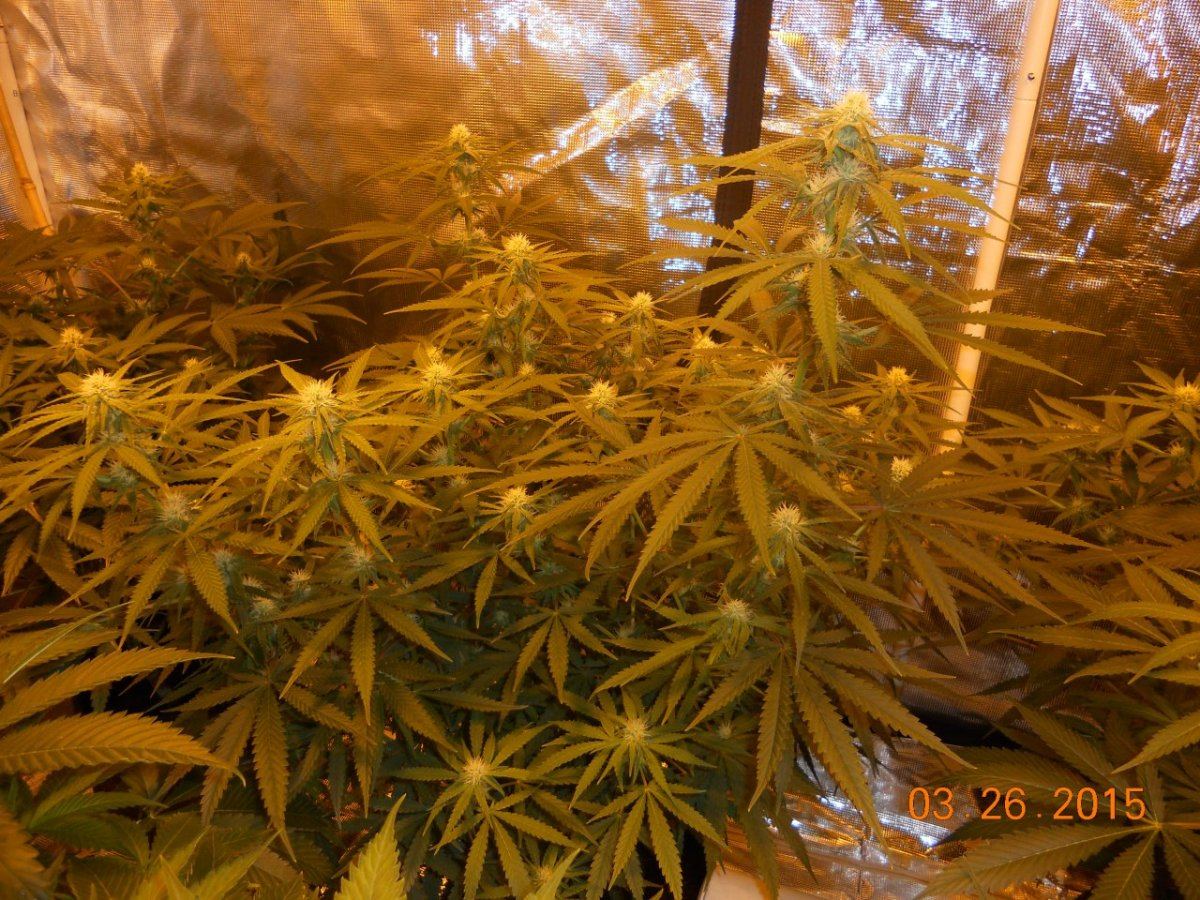 Week 3 004