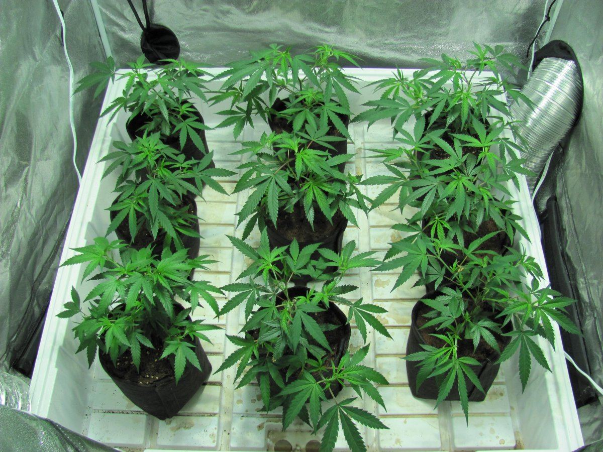 Week 3
