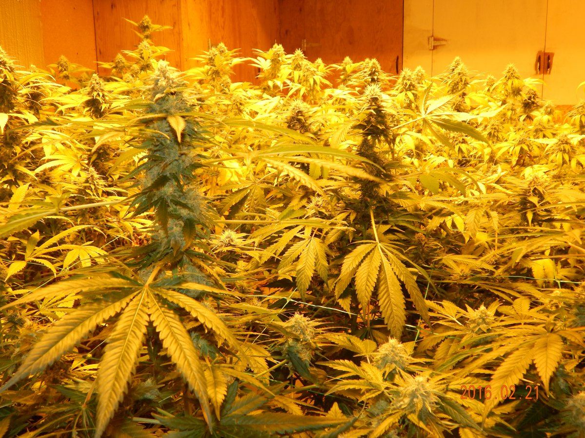 Week 5 008