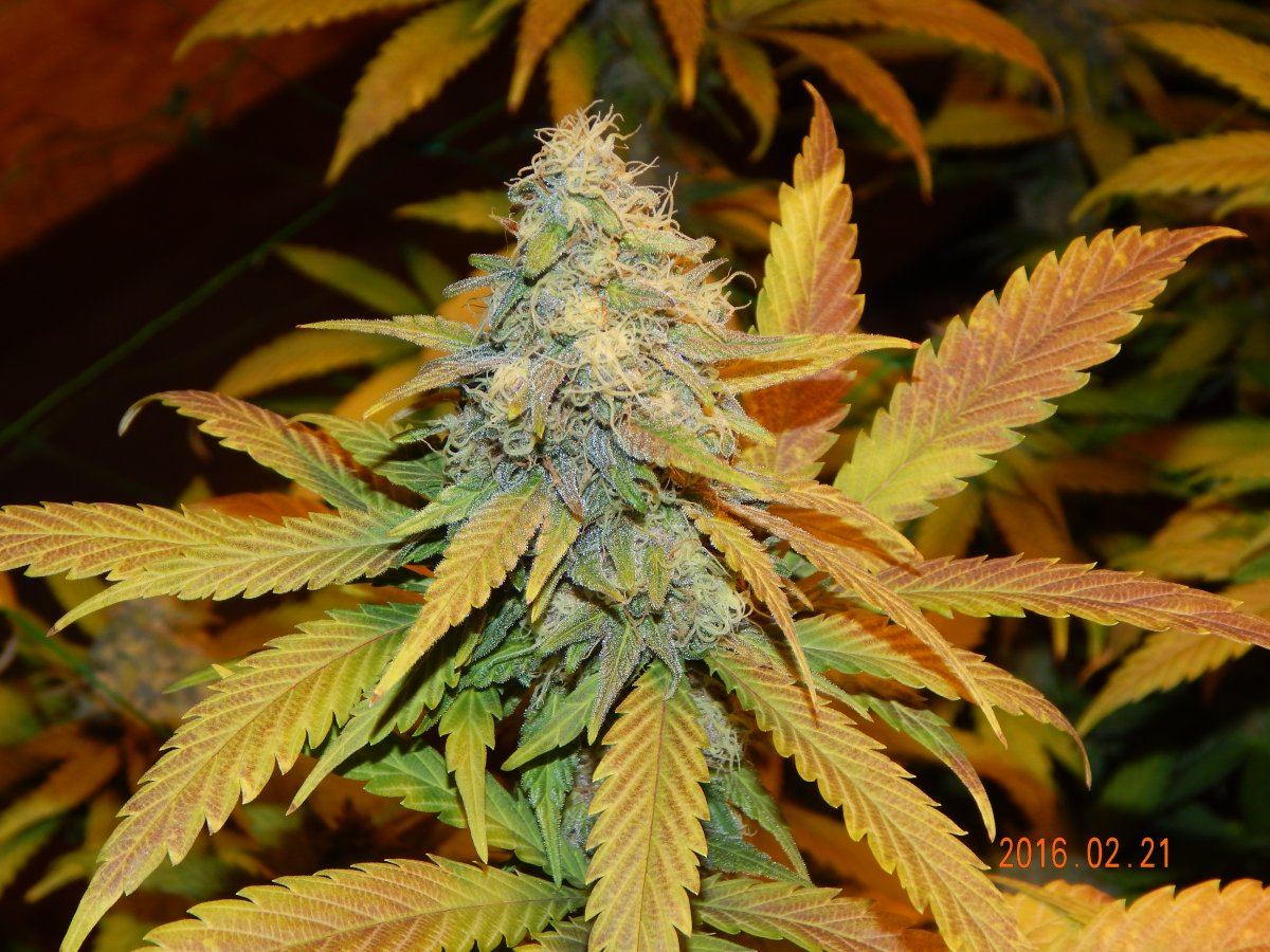 Week 5 020