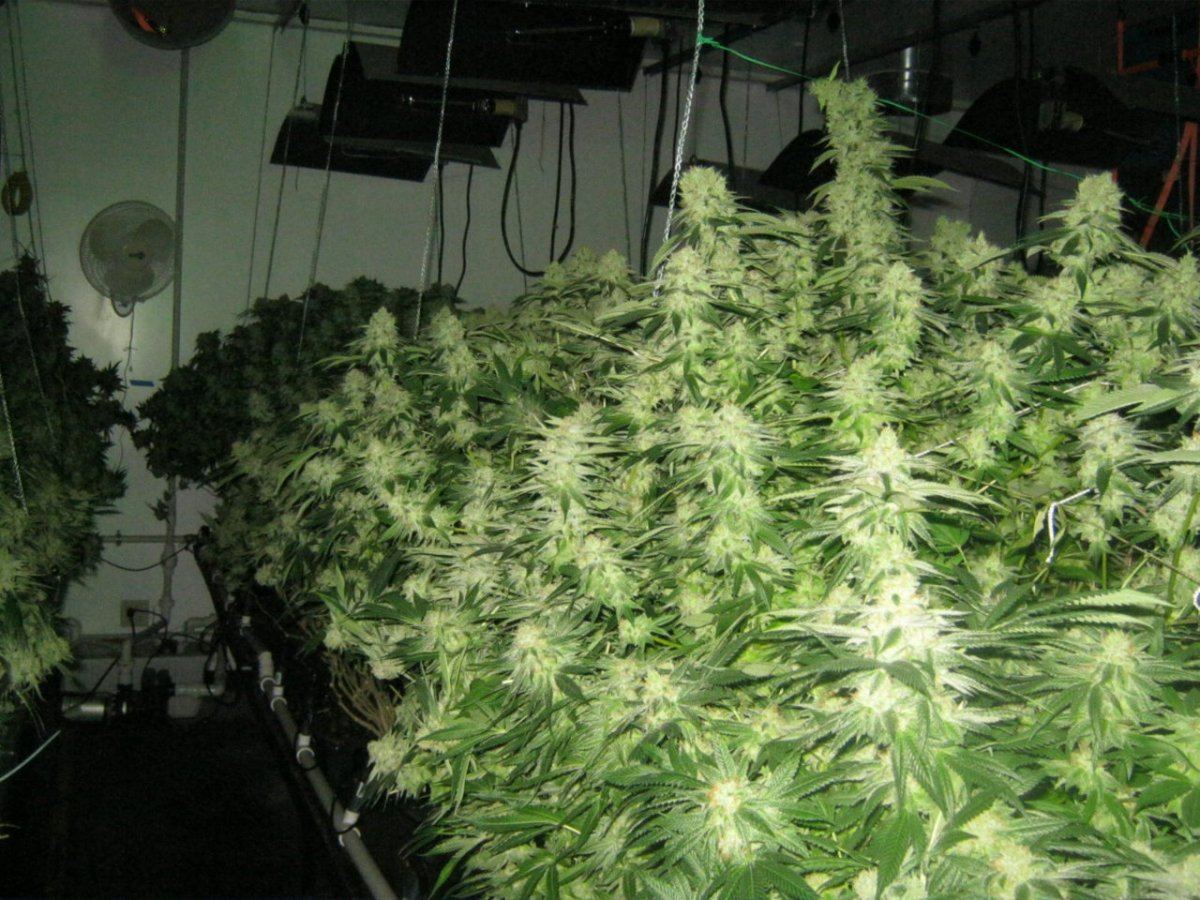 Week 5 aptus 039