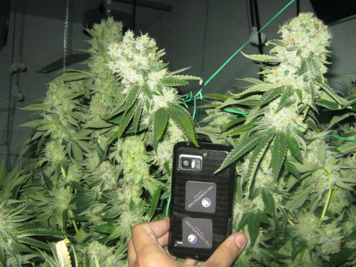 Week 5 aptus 049