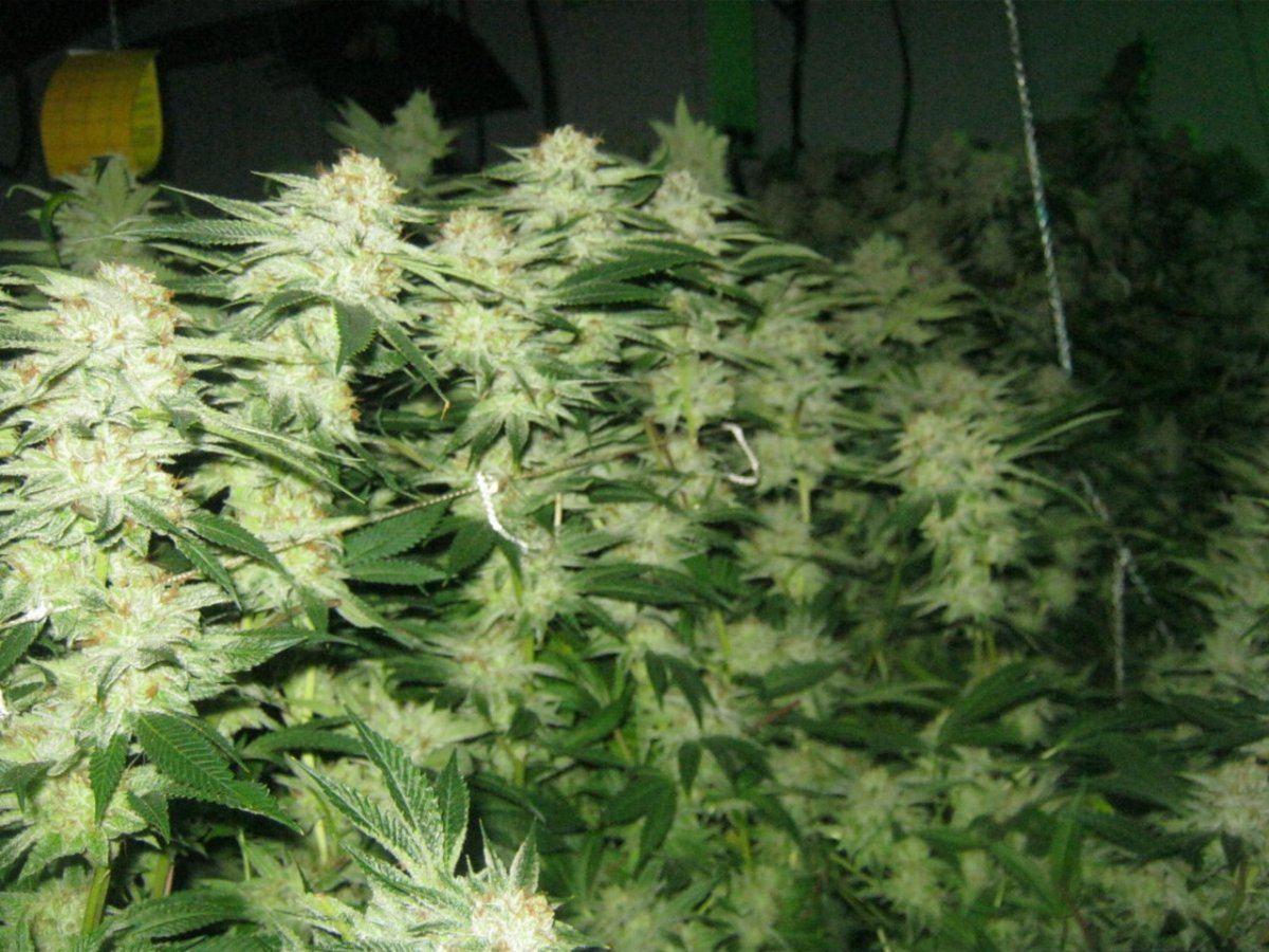 Week 5 aptus 055