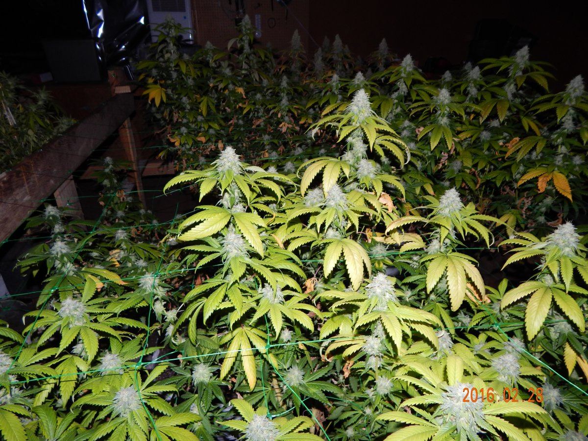 Week 6 002