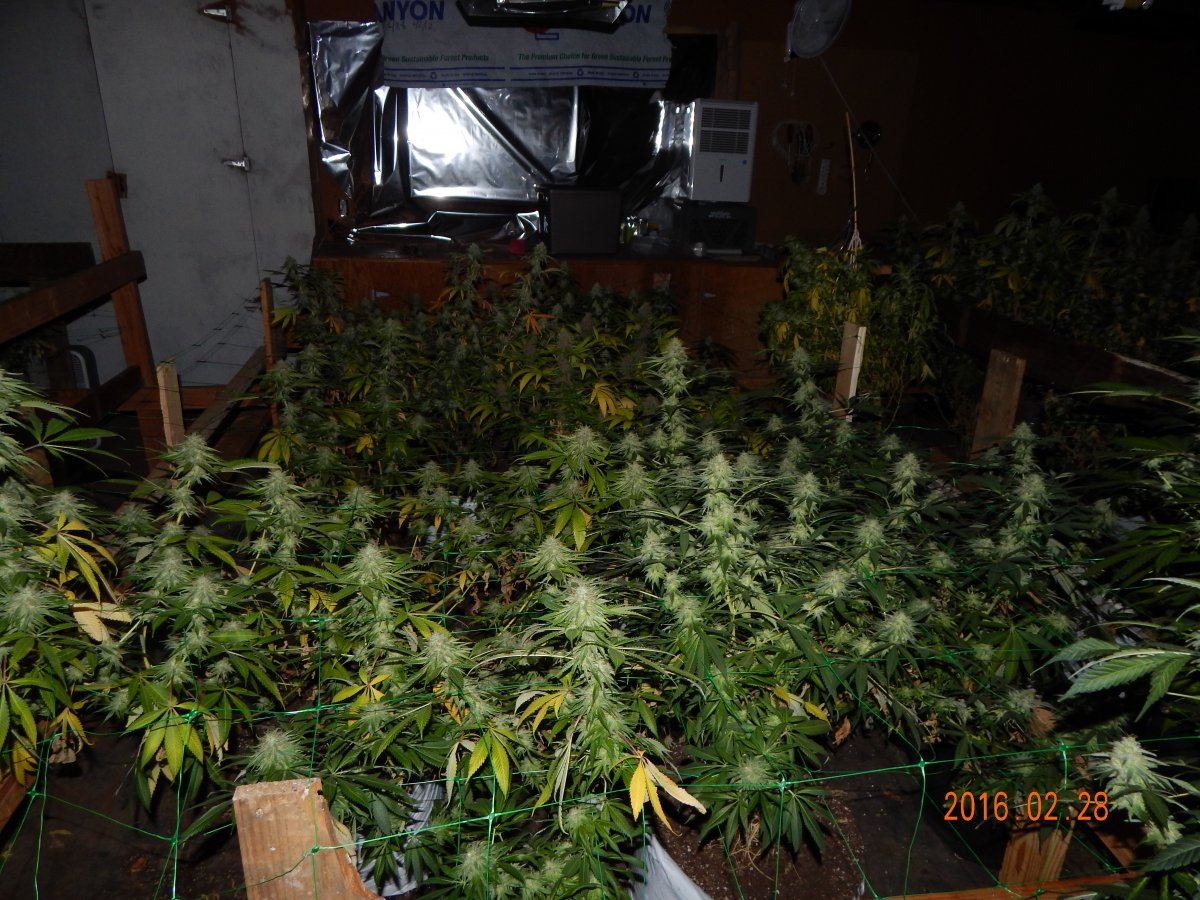 Week 6 006