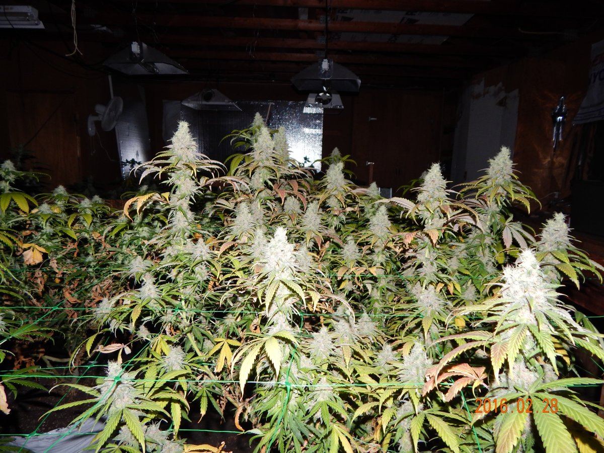 Week 6 020