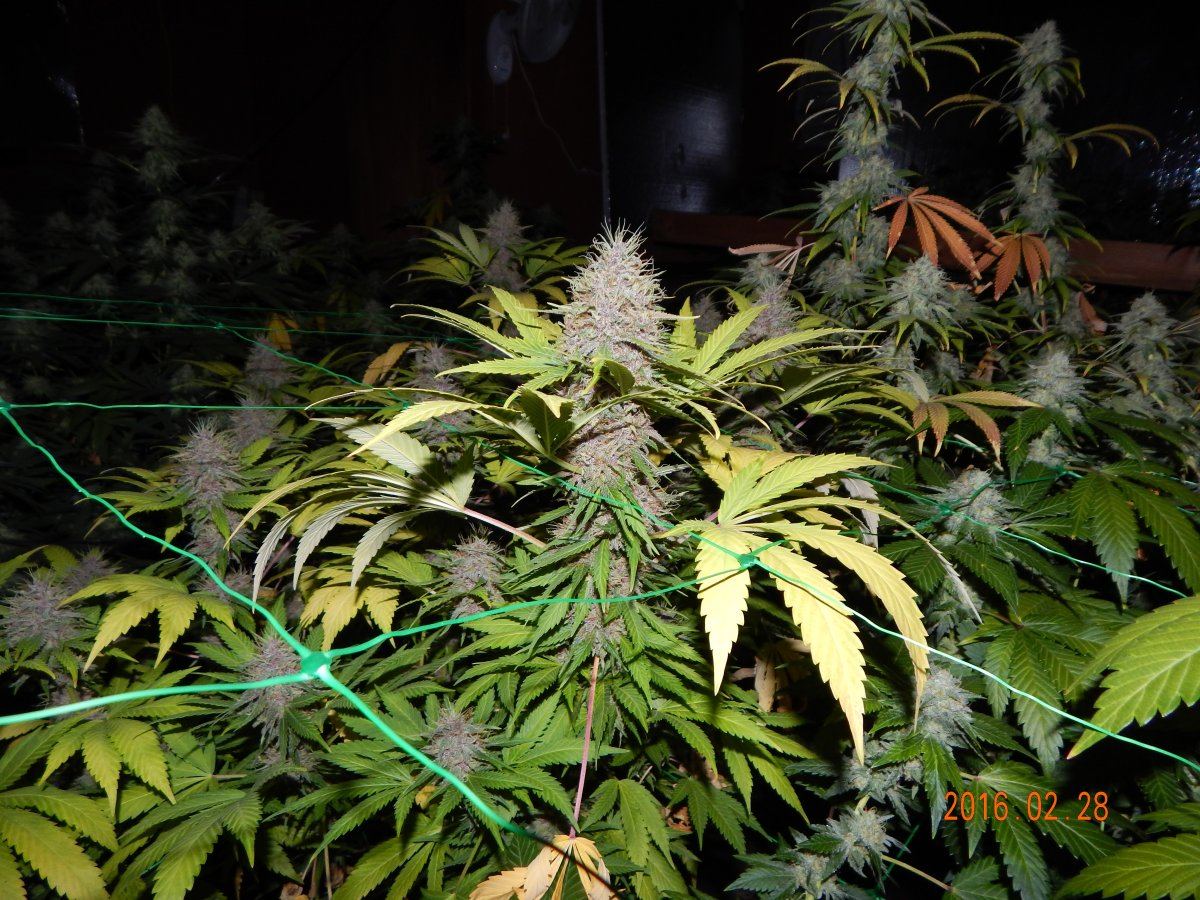 Week 6 025
