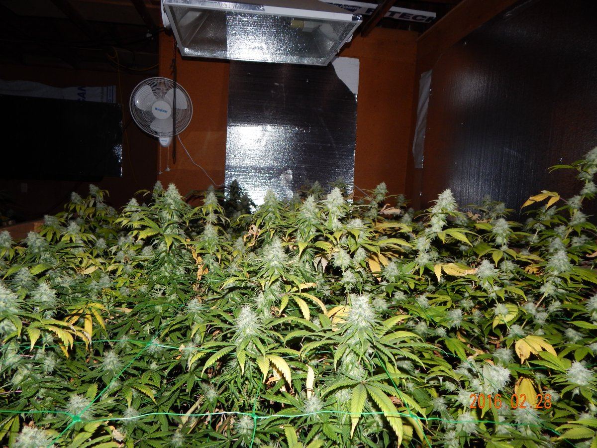 Week 6 030