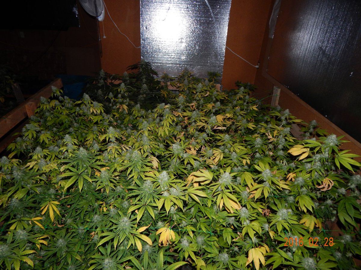 Week 6 035