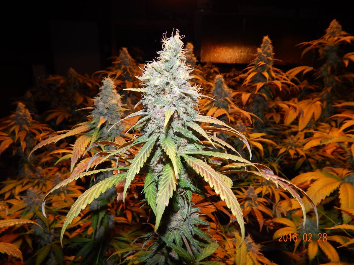 Week 6 041