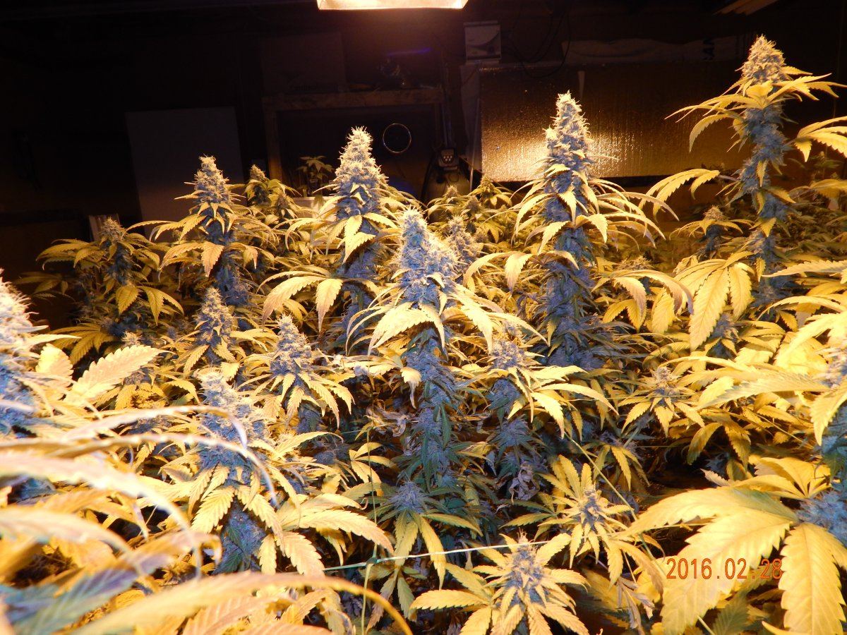 Week 6 042
