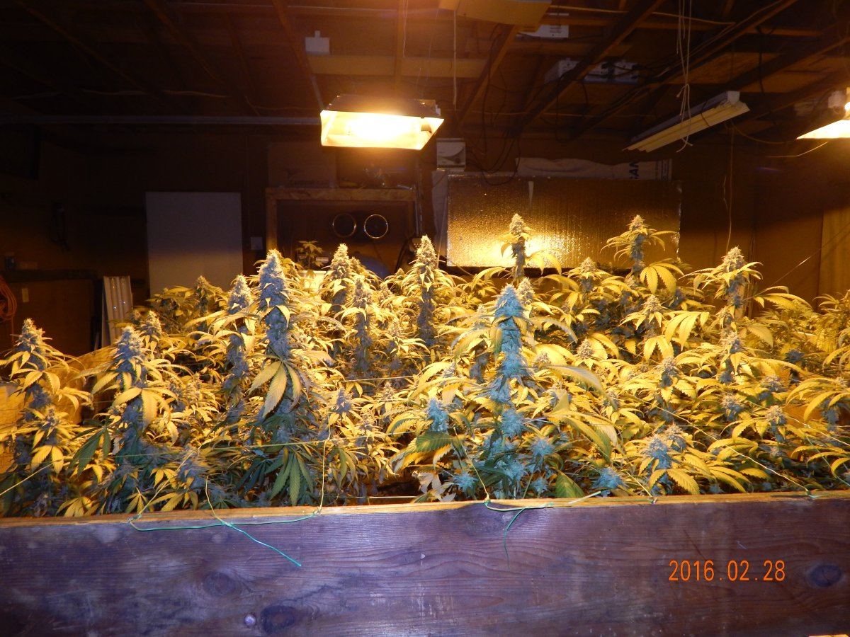 Week 6 043