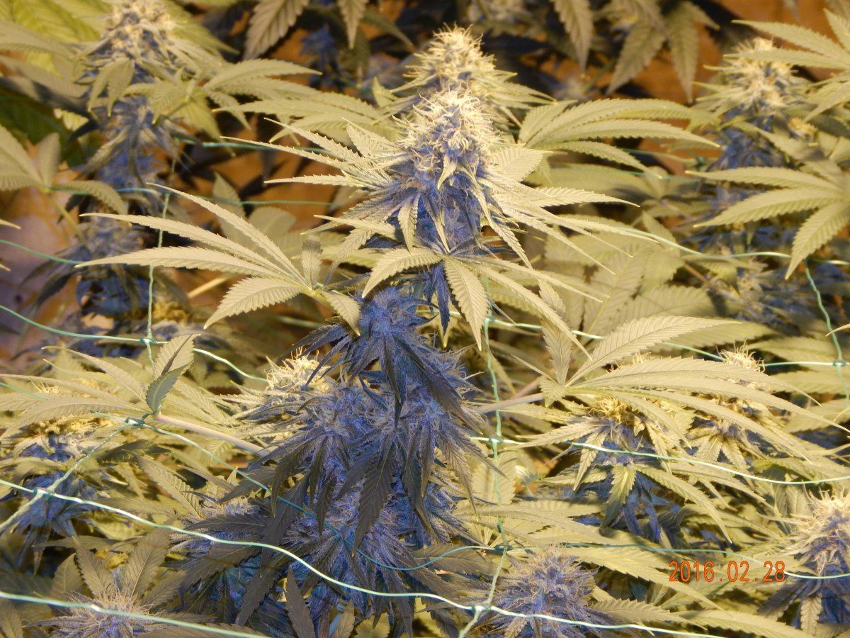 Week 6 047