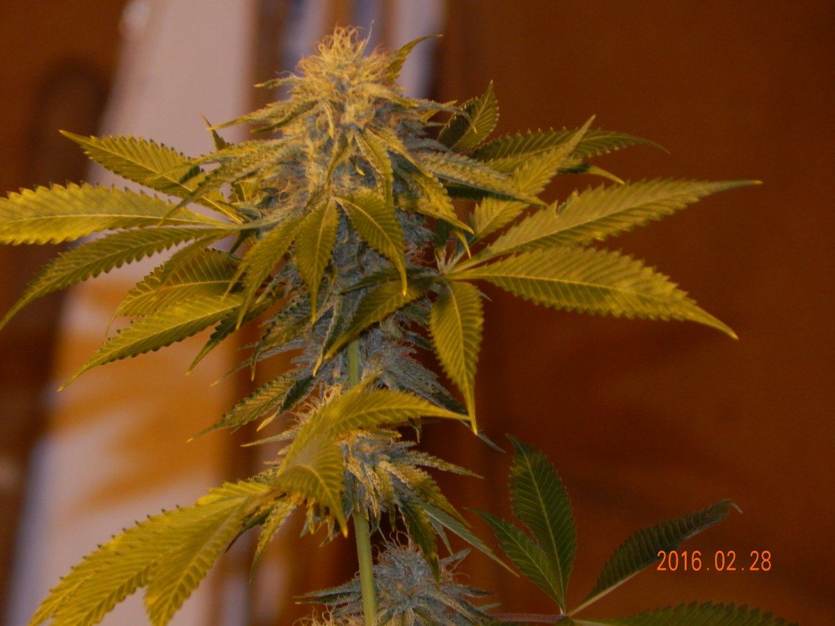 Week 6 049